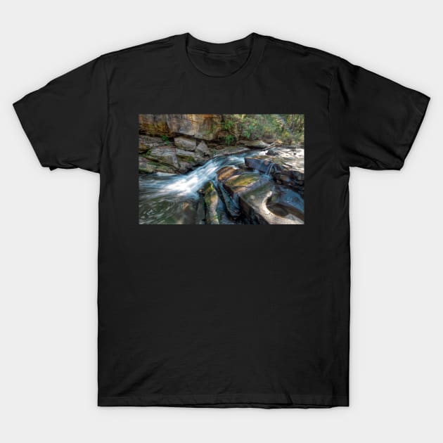 Water fall, Berea, Ohio T-Shirt by Carlosr1946